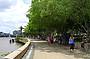 Leafy Southbank