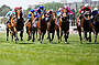 Melbourne Cup Lunch Cruise 